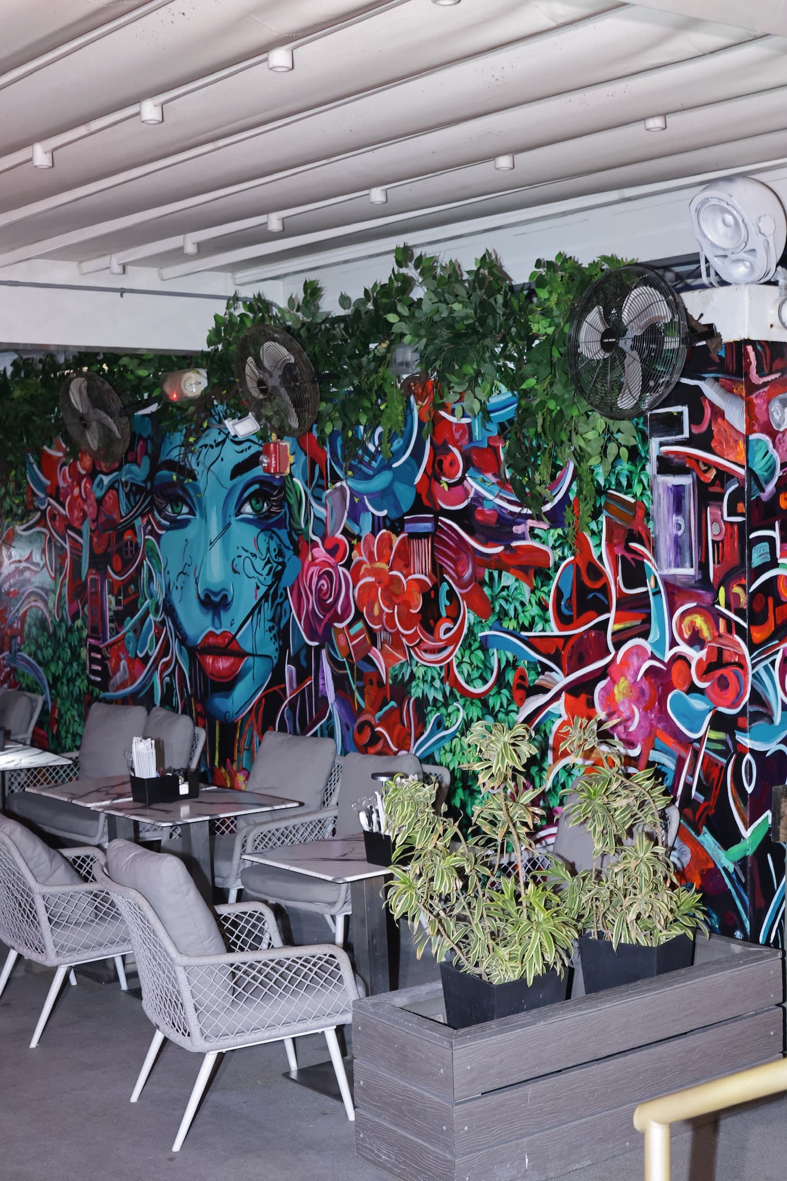 Live entertainment at Carnaval Rooftop